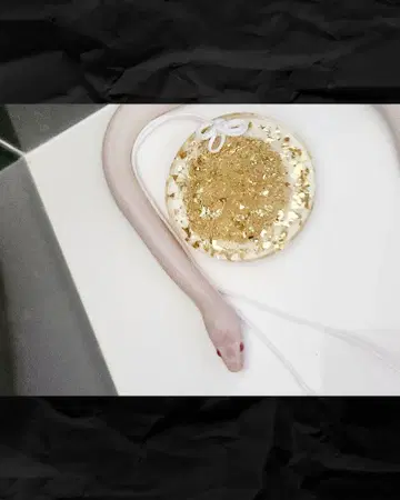 봉룡 개운 참 백사의 빈 껍데기 부적
