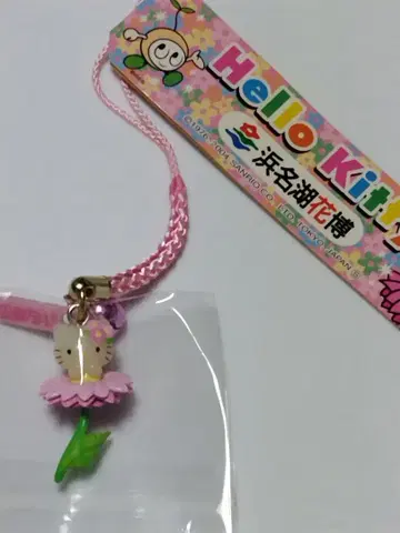 지역 키티 네츠케 하마나코 꽃 박람회