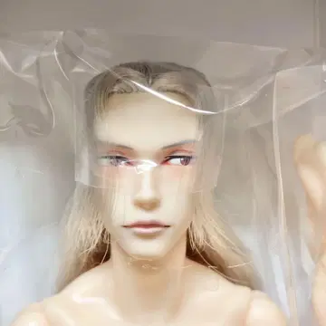 펫웍스 6분의 1 남자 도감 25 간지 뱀 나인 본체만