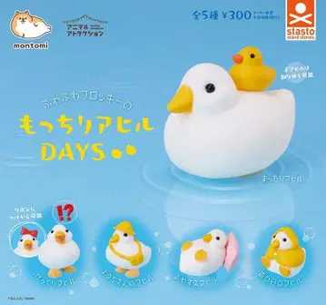 [익명 배송] 쫀득 오리 DAYS 전 5종 풀 컴프 세트 가챠