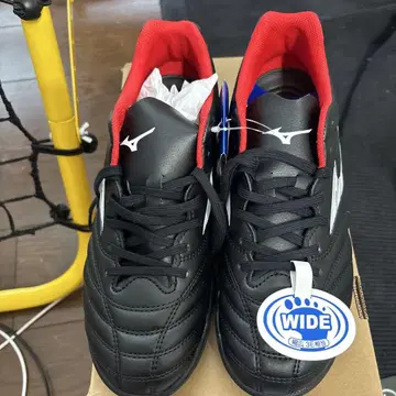 Mizuno Monarcida Neo 25.0cm 모나르시다 새상품