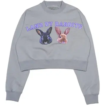 LAND BY RABBITS 맨투맨 그레이