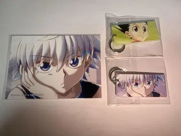 HUNTER x HUNTER 아니아트 아크릴 키택 곤 키루아