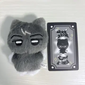 ENHYPEN JAY 제이 봉제 인형 마스코트 마스터