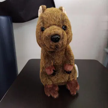 쿼카 봉제 인형