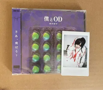 CD 폴라로이드