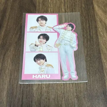 초특급 카시와기 하루 스티커 EBiDAN the live 2024