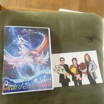 알피 Circle of the Rainbow DVD 벌스데이 카드