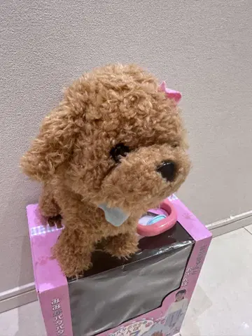 파타파라 오미미의 산책 에마