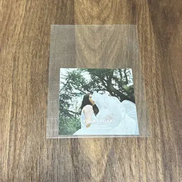 아라가키 유이 스티커