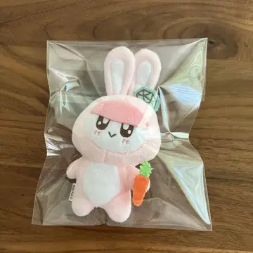 SEVENTEEN 봉봉이 토끼