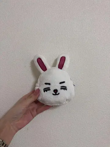 에스쿱스 파우치 SEVENTEEN