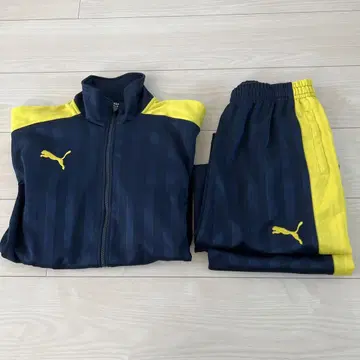 PUMA 푸마 저지 상하의 세트 옐로우