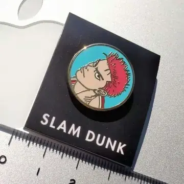 슬램덩크 강백호 핀 배지 핀즈 SLAM DUNK