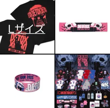 ONE OK ROCK 원오크 DETOX JAPAN TOUR 2025 3
