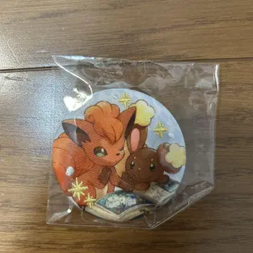 포켓몬 자수 싸개 배지 컬렉션 포켓몬 센터 한정판