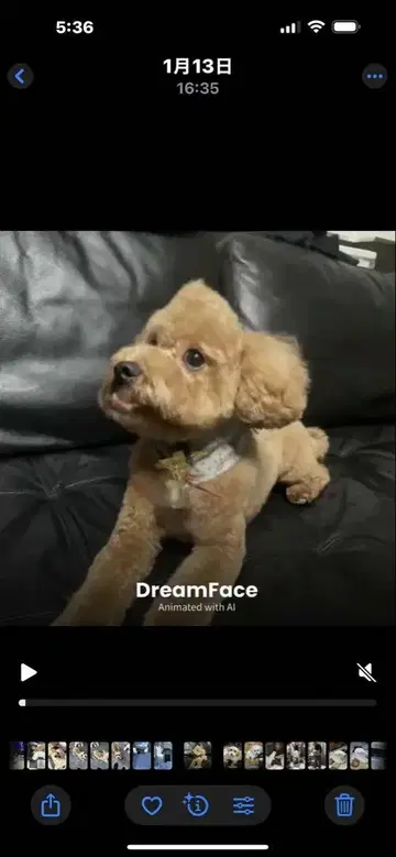 기저귀