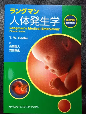 랑그만 인체 발생학 제12판 원서 제15판