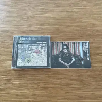 야마나카 사와오 [그 꽃은 어디에 피어 있는가] the pillows