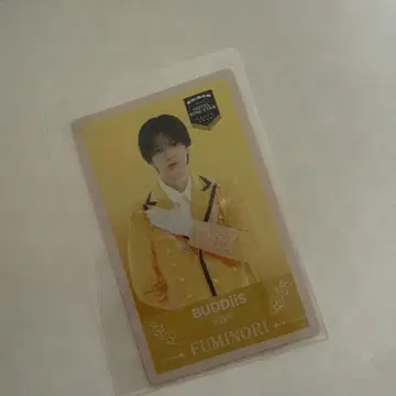BUDDiiS FUMINORI 오가와 후미노리 트레이딩 카드 에비라이