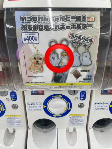 강아지 캡슐 토이 키링 포메 2점 시바견 1점