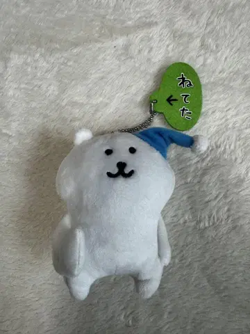 농담곰 자고 있었다 봉제 인형