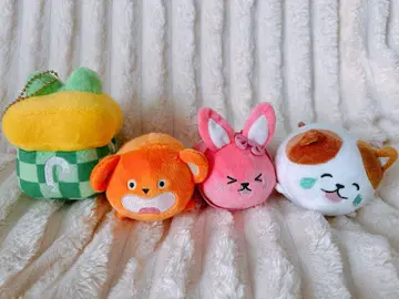 포코차 프라이즈 포코린 4개 세트