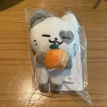 ITZY JYP 팝업 TWINZY 백참 예지