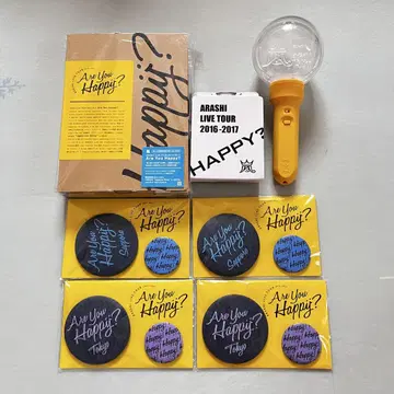 아라시 Are You Happy?