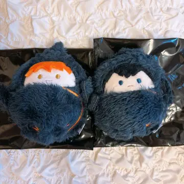 인형 vol.1 하이큐!! 히나타 쇼요 카게야마 토비오