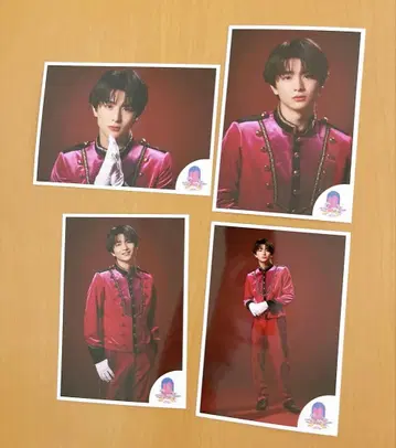 초특급 브로마이드 하루 에비라이 컴프