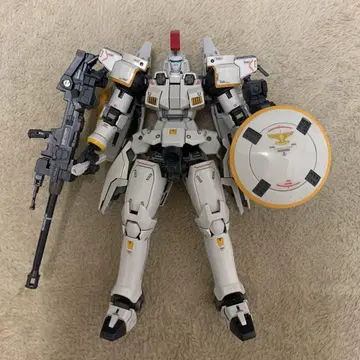 RG 톨기스EW