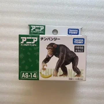아니아 침팬지 1개