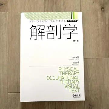 해부학