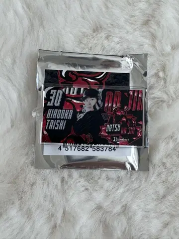 오릭스 버팔로즈 히로오카 타이시 키체인
