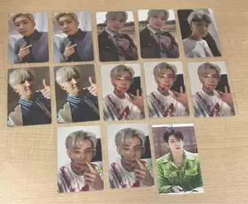 SEVENTEEN 원우 FACE THE SUN 트레이딩 카드 13장