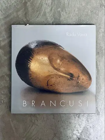 Radu Varia BRANCUSI