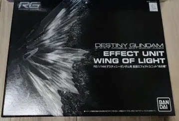 RG DESTINY GUNDAM 이펙트 유닛 빛의 날개