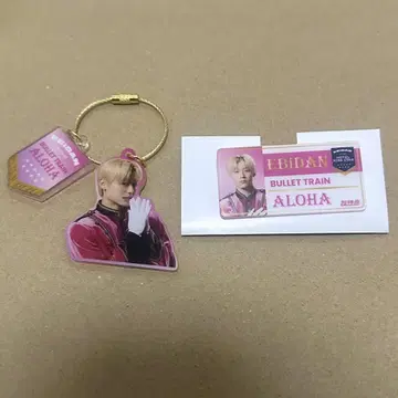 에비라이 초특급 알로하 아크릴 키링 네임 배지 세트