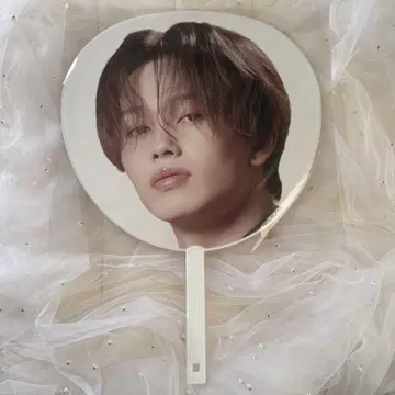 초특급 마사히로 에비라이 2025 Big 부채