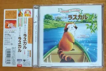 아라이구마 라스칼 CD 메모리얼 음악관