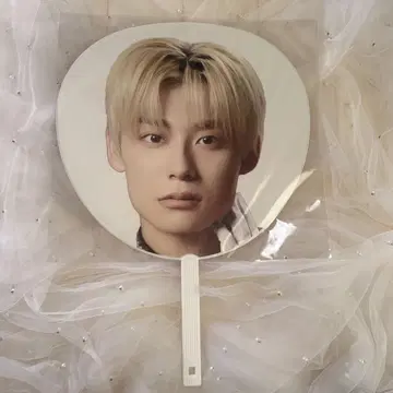 초특급 알로하 에비라이 2025 Big 부채