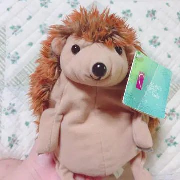 [오늘 발송 가능] 고슴도치 봉제 인형 [가격 인하 가능]