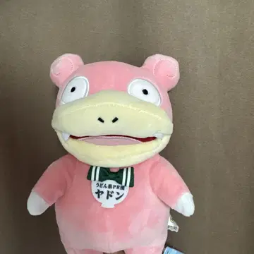 최애 포켓몬 봉제인형 야돈