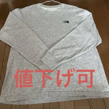 THE NORTH FACE 그레이 긴팔 티셔츠