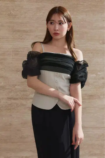 herlipto Sheer Off-the-Shoulder Top