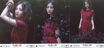 노기자카46 회장 한정 브로마이드 야마시타 미즈키 미코로시히메 컴프