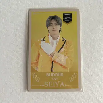BUDDiiS SEIYA 에비라이 트레이딩 카드 1점 세이야