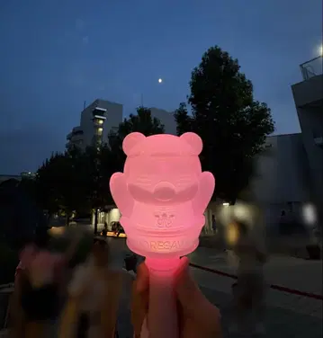 코레사와 응원봉2