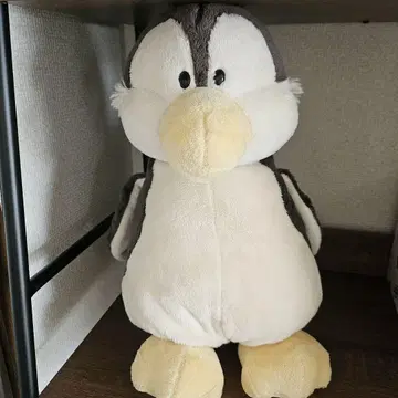 nici 펭귄